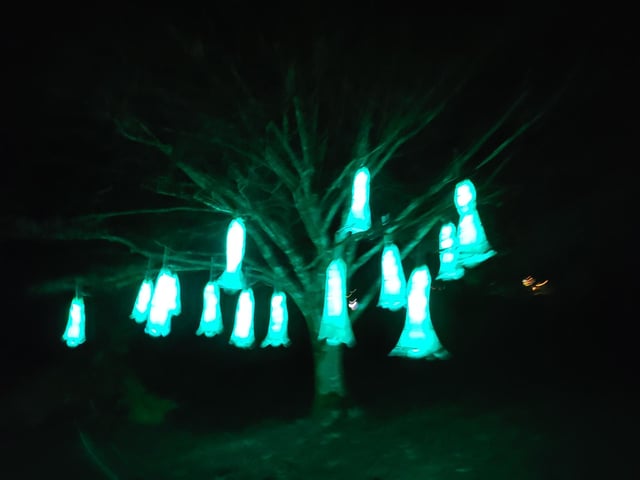 An enchanting winter lantern trail at Wakehurst Place