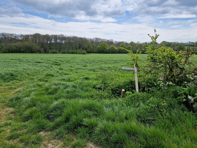 You will see Selden Farm come into view on your right but continue on the same footpath, following it south past this fallen signpost