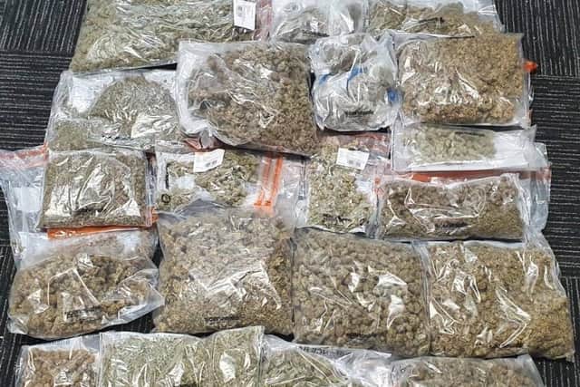 Cannabis seized by police. Picture from Sussex Police