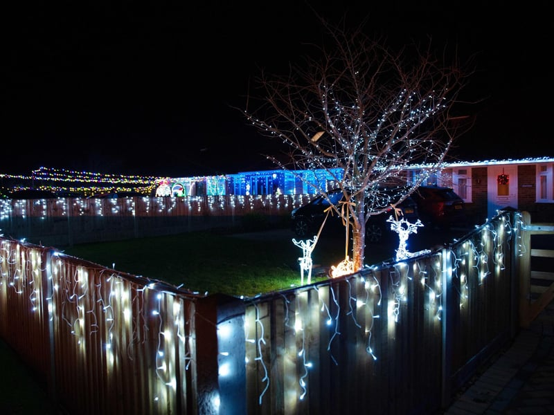 Westfield Christmas Lights 2023. Photo by Frank Copper.