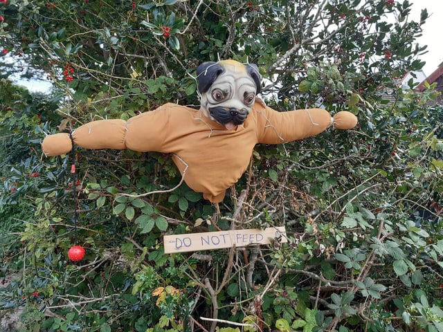 Some of the super scarecrows created for the Ferring Scarecrow Festival 2022, raising money for 1st Ferring Scouting Group. Some have pumpkins displaying a letter, five in North Ferring and nine in South Ferring. Unscramble them to enter the prize draw. Trail maps available at Brown's Natural Pet store.