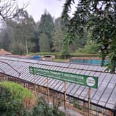 Alexandra Park Greenhouse is open again with plant sales, workshops and community events on Thursdays and Saturdays.