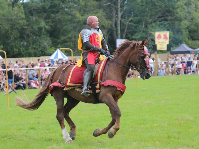 Loxwood Joust 2024 (Photo: John Lines)