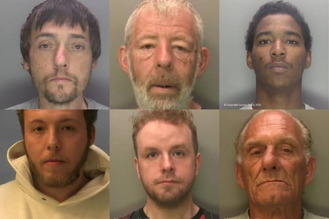 These are some of the most serious, high profile and prolific offenders who were jailed in the penultimate month of 2025.