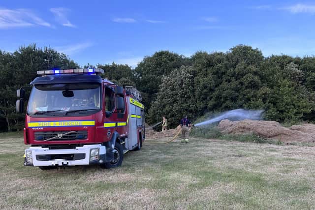 Firefighters in Shinewater Park in Eastbourne