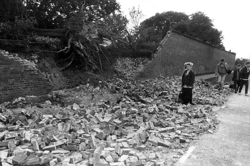 The 15ft-high wall to the Bishop's Garden in Chichester was demolished by an uprooted tree