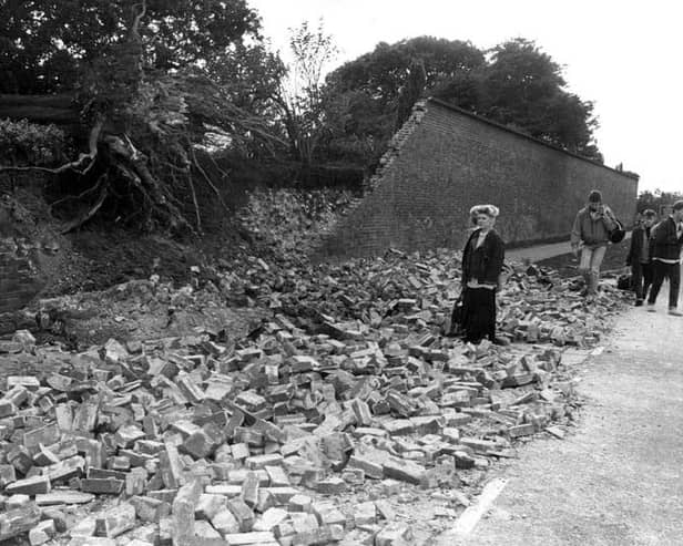 The 15ft-high wall to the Bishop's Garden in Chichester was demolished by an uprooted tree