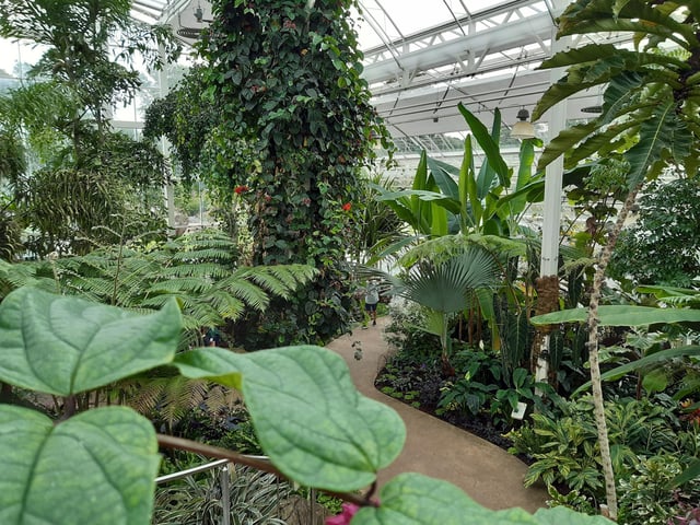 RHS Garden Wisley is a great day out, and it's only just outside of Sussex. Picture: Katherine HM