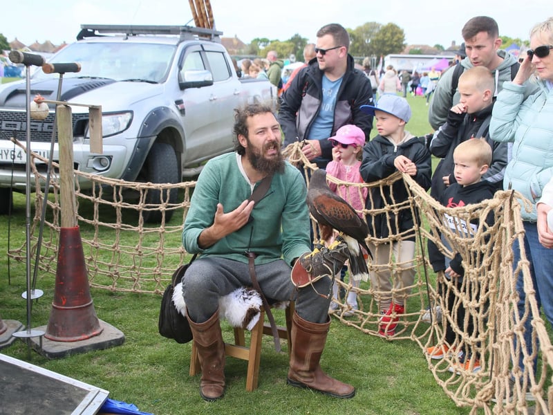 Bexhill Horse Show 2025. Photo by Roberts Photographic.