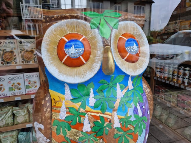 Colourful owls have flown into Arundel as part of the Wild in Art event The Big Hoot trail, raising money for Chestnut Tree House.