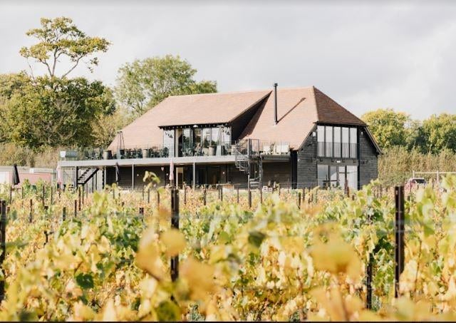 Kinsbrook at Thakeham is a progressive vineyard led by Joe Beckett and Rebecca Dancer who produce a range of vintage English wines from grapes grown on Joe’s third-generation family farmland. They produce a range of sparking and still wines including a still red wine, released this spring.
Visitors can enjoy vineyard tours and wine tastings together with small plates of food using fresh, seasonal ingredients.
Kinsbrook's Farm Shop and Eatery is located in a newly built barn in the heart of the vineyard with a panoramic balcony overlooking the vines.