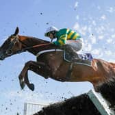 They're looking forward to a full year of jump action at Fontwell | Photo by Alan Crowhurst/Getty Images