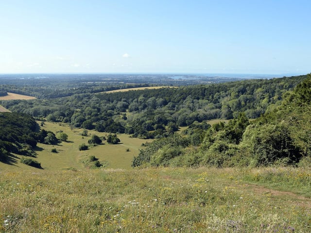 Known for its ancient yew trees and stunning views over the Downs, Kingley Vale has shaded woodland trails and grassy hilltops. A great choice for those who want to hike first, then enjoy a picnic with panoramic views at the summit.