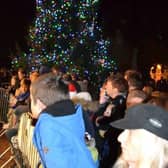 Last year's Hailsham Christmas lights switch-on event