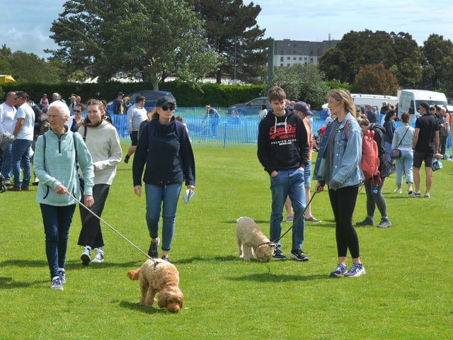 Bexhill Horse & Dog Show 2024.