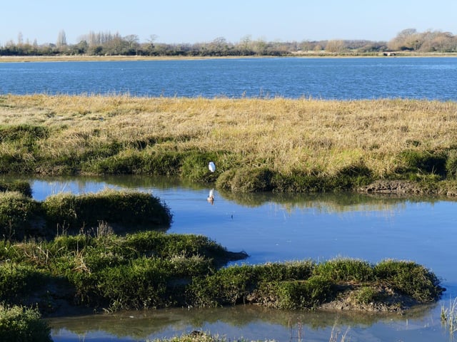 Just west of Chichester, this quiet riverside area runs along the Fishbourne stream. Ideal for nature lovers and birdwatchers, it’s flat and accessible, with open grassy areas perfect for a picnic on a warm day.