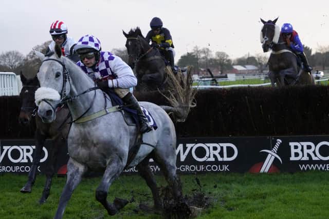 They race at Fontwell Park on Boxing Day | Picture: Clive Bennett