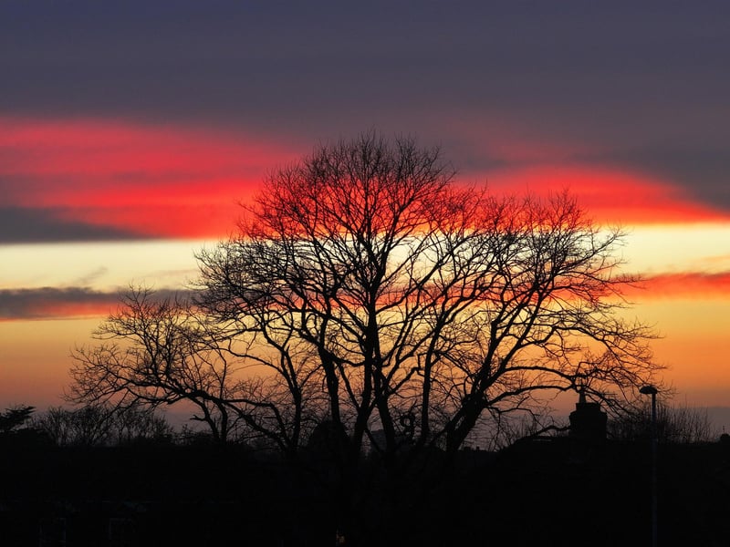 A perfect Sussex sunset.