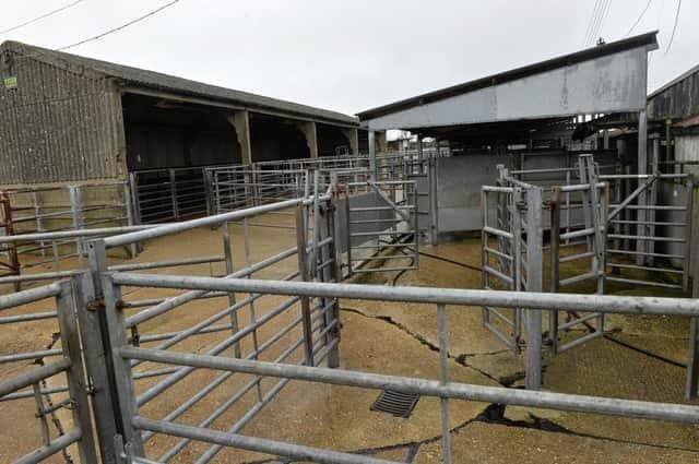 Decision looms over Hailsham Cattle Market plans (photo from Jon Rigby)