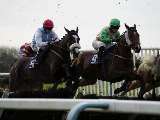 They race at Fontwell on Friday afternoon | Picture: Clive Bennett