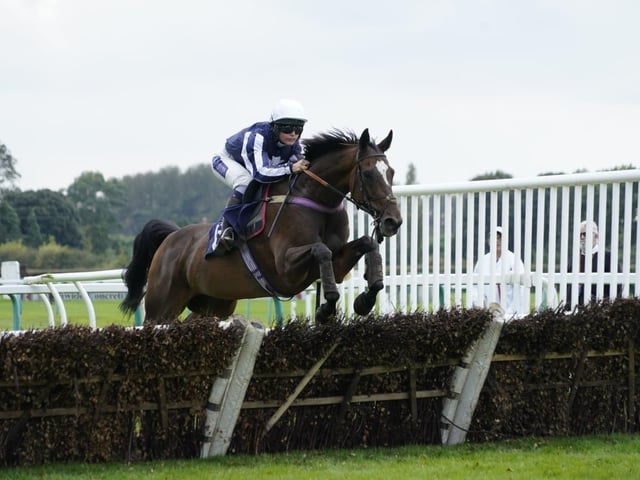 September jump racing at Fontwell Park