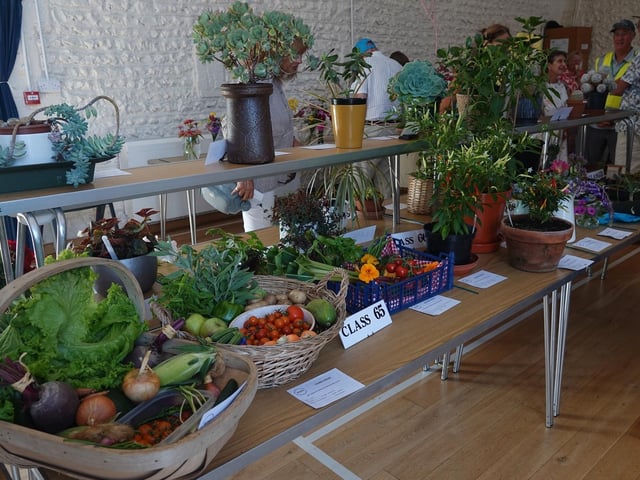 Produce and pot plants on display at the annual flower show