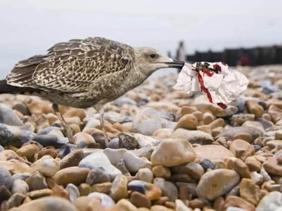 The Eastbourne Herald reported seagulls had been trained to pick up litter