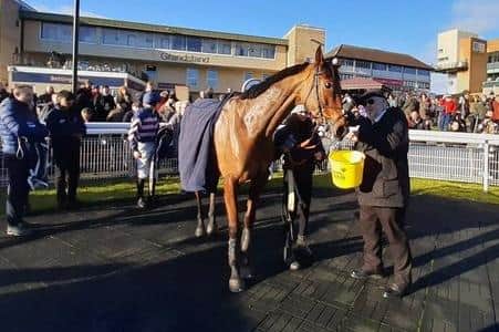 Givega in the Fontwell winner's enclosure after victory in the Boxing Day opener for Gary Moore | Picture: Steve Bone