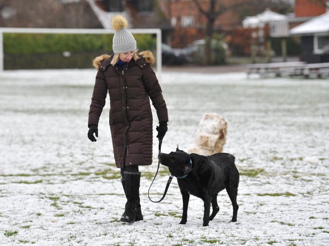 Snow at Wisborough Green, West Sussex. Pic S Robards SR2303082