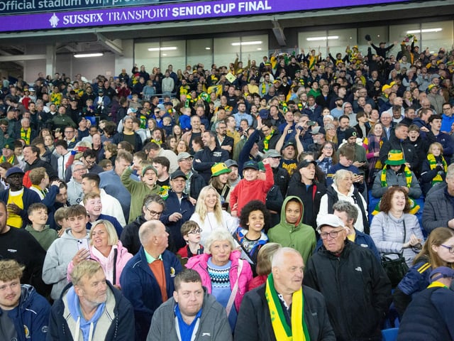 Horsham FC are champions of Sussex again after their last-gasp Sussex Transport Senior Cup final win over Littlehampton Town.