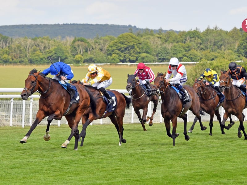 Glorious Goodwood Ladies' Day 2022