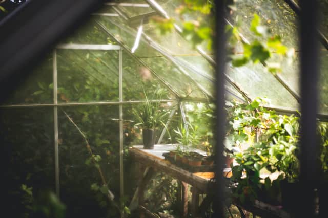 Greenhouses are a great addition to the garden