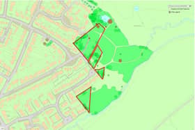 Mid Sussex District Council said the work to remove diseased trees will take three weeks, and begins at Eastern Road Nature Reserve, Lindfield, on Monday, August 21
