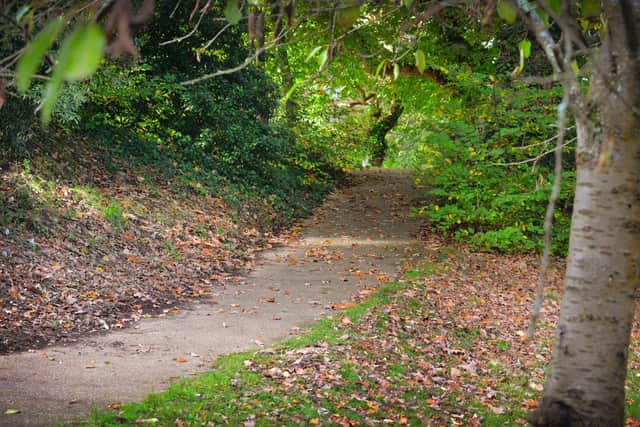 Alexandra Park in Hastings pictured in autumn