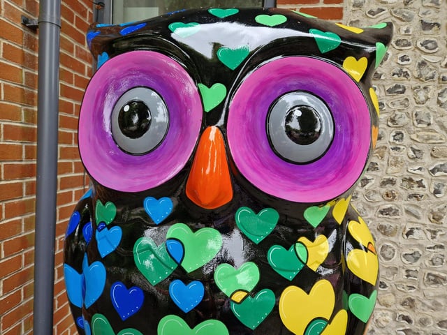 Colourful owls have flown into Arundel as part of the Wild in Art event The Big Hoot trail, raising money for Chestnut Tree House.