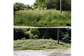 Jevington pond: Before (top) and after (bottom)