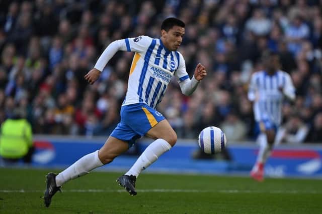 Diego Gomez decision explained as Brighton boss Fabian Hurzeler sends ...