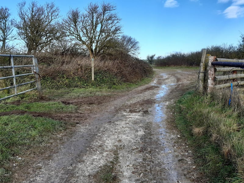 You will soon reach a crossroads of footpaths. We are turning left here to join Monarch's Way.