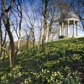 The rotunda built in 1766, and daffodils in the park at Petworth House, West Sussex. The Ionic rotunda may have been designed by Matthew Brettingham probably inspired by Vanbrugh's rotundas.