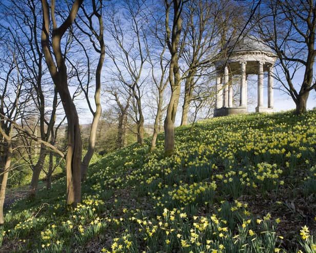 The rotunda built in 1766, and daffodils in the park at Petworth House, West Sussex. The Ionic rotunda may have been designed by Matthew Brettingham probably inspired by Vanbrugh's rotundas.