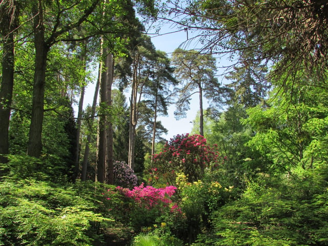 Tilgate Park. Credit: Steve Winston-Lawford