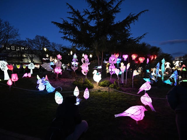 Arts charity Same Sky created 'Spring Forward', an installation of willow and tissue sculptures, lights and sound inspired by the end of Winter and coming of Spring, which was on display in the Memorial Gardens.
