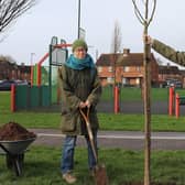 Councillor Penny Plant and councillor Sarah Sharp launch Chichester District Council's sponsor a tree scheme