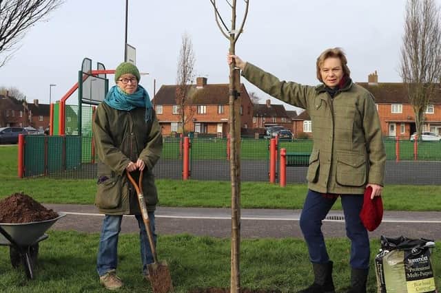 Councillor Penny Plant and councillor Sarah Sharp launch Chichester District Council's sponsor a tree scheme