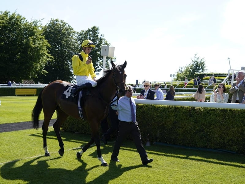 Images from the second day of Goodwood's two-day May festival
