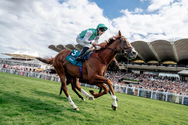 Qirat wins the 2025 Sussex Stakes - and is set to return for Saturday's Celebration Mile | Picture: Goodwood Racecourse
