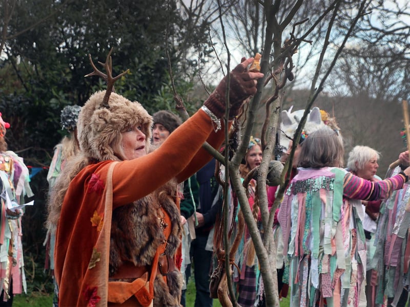 Wassail at Gensing Gardens on January 31 2026. Photo by Roberts Photographic.