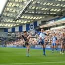 Brighton Women recently played Tottenham at the Amex Stadium but they usually play their home matches at the Broadfield Stadium in Crawley