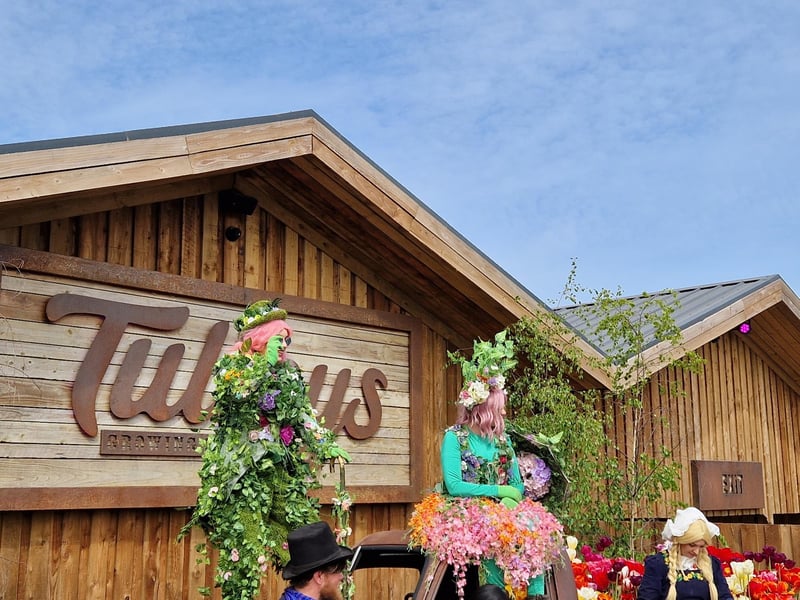 Tulleys Tulip Fest celebrates the arrival of spring with 1.5 million blooms in the fields