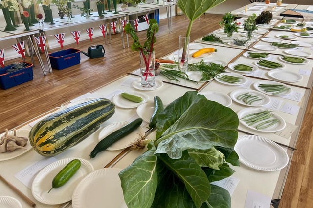 Vegetables waiting to be judged.